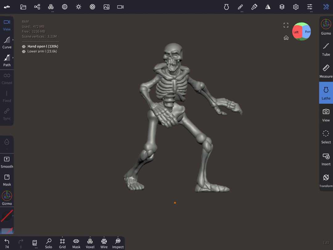 Skeleton