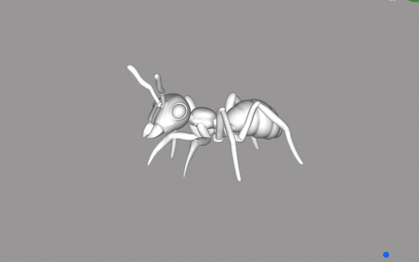 Ant Worker