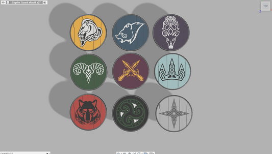 Skyrim Shield (Hold Capitals)